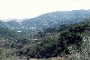 Views